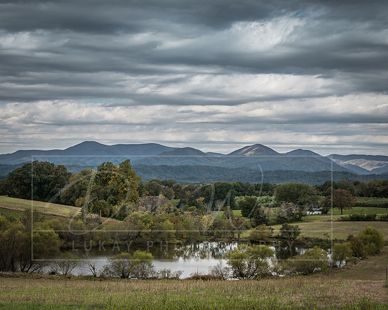 Seamans' Orchard, Roseland, Virginia