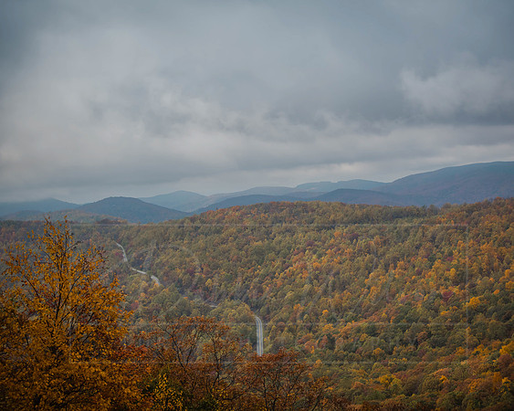 Wintergreen