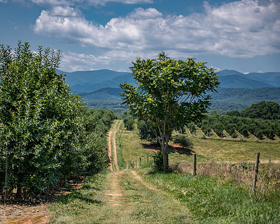 Seamans' Orchard