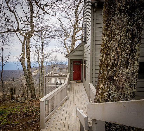 972 Bear Way To Heaven  (30)