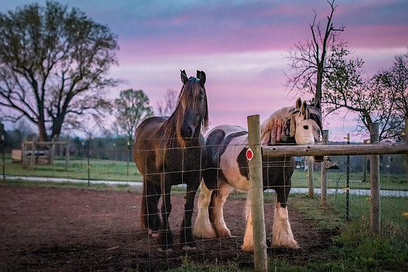 DSC_0230-HDR