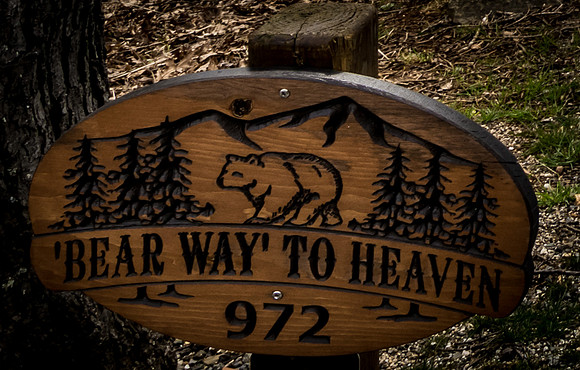 972 Bear Way To Heaven  (37)