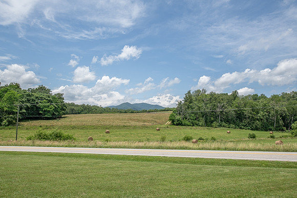 Front Yard Veiw