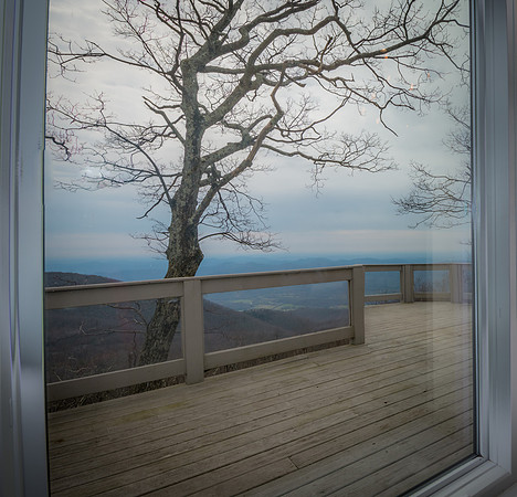 972 Bear Way To Heaven  (21)